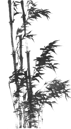 a_bamboo-temple-3